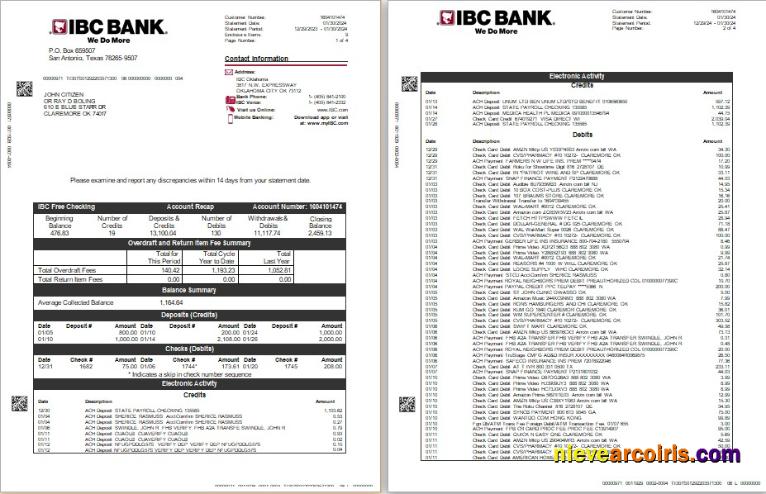 USA IBC bank statement Word and PDF, 4 pages